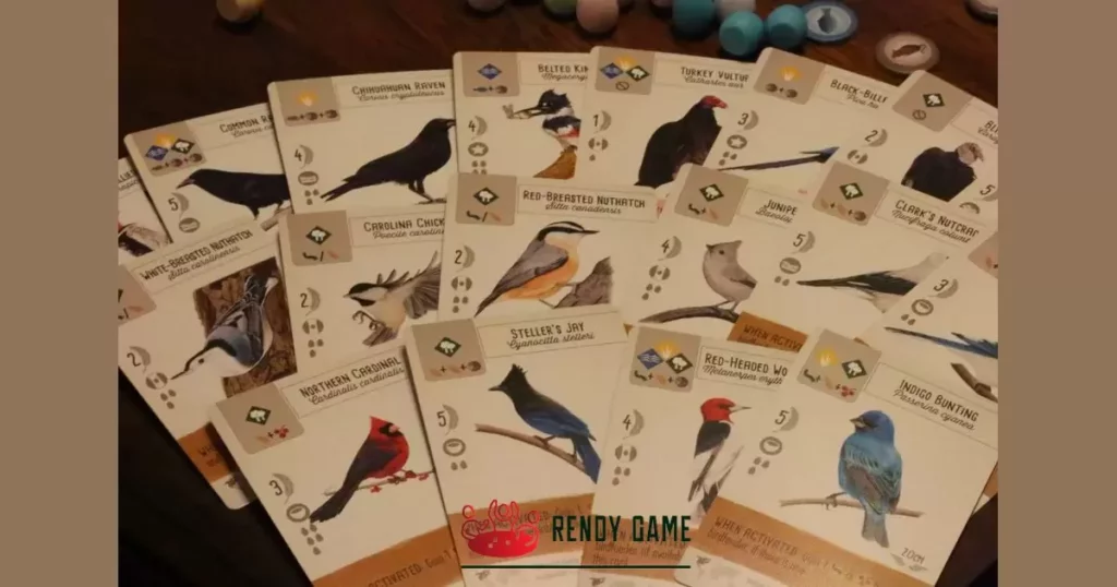 Bird Cards and Habitats